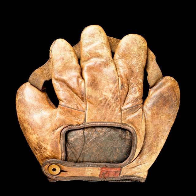 Spalding XLA Either Hand Glove Back